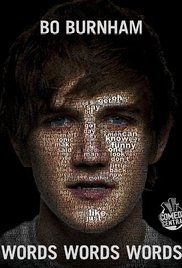 Bo Burnham: Words, Words, Words series image