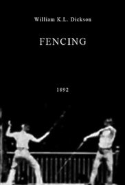 Fencing series image