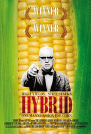 Hybrid series image