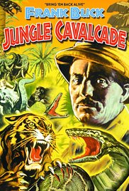 Jungle Cavalcade series image