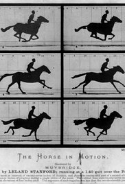 Sallie Gardner at a Gallop series image