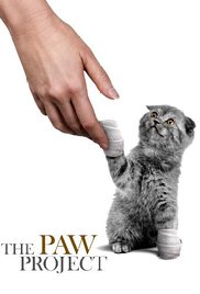 The Paw Project series image