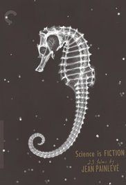 The Seahorse series image
