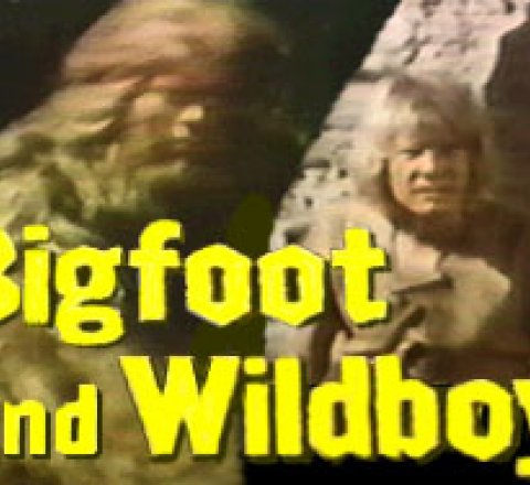 Bigfoot and Wildboy series image